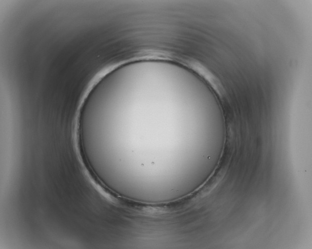 X0000111891379200908061325