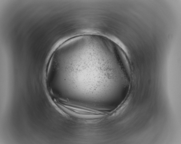 X0000111891381200908061325