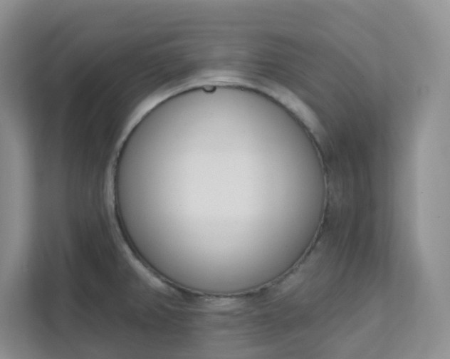 X0000111891382200908061325