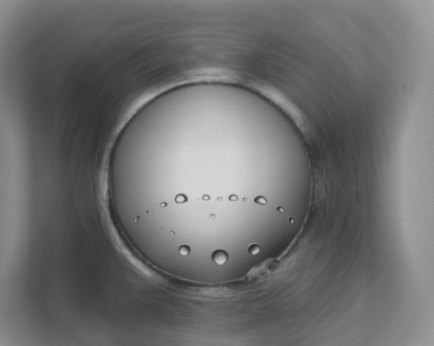 X0000111891383200908061325