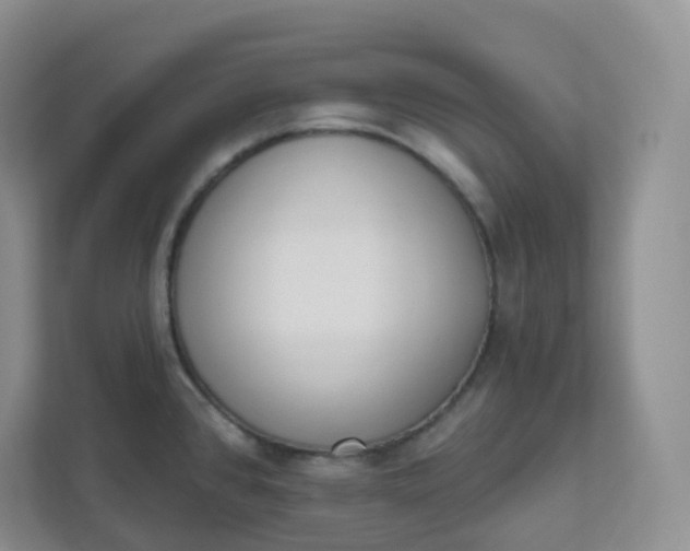 X0000111891384200908061325