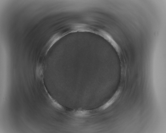 X0000111891385200908061325