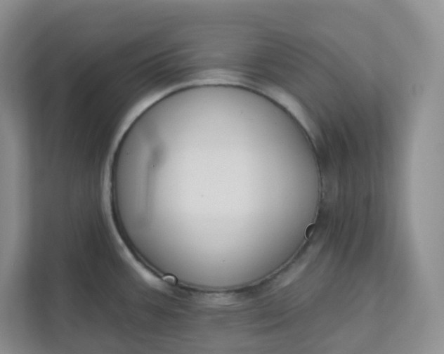 X0000111891387200908061325