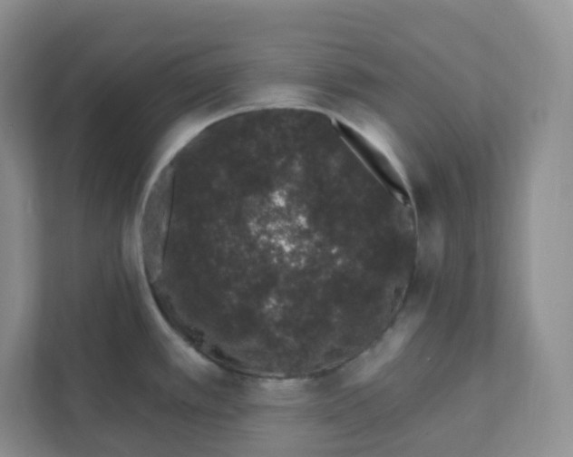 X0000111891389200908061325