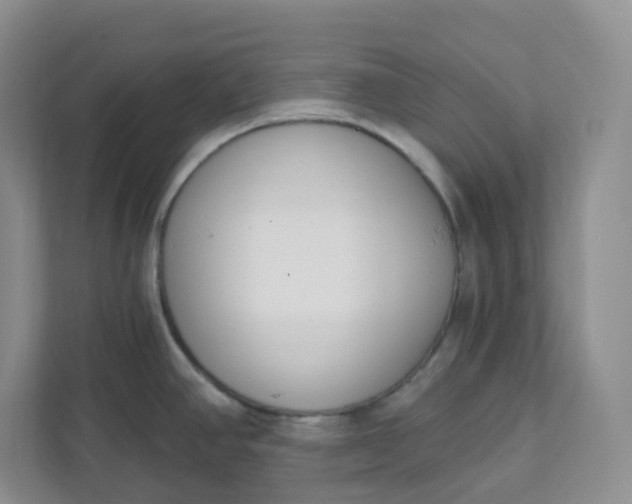 X0000111891390200908061325