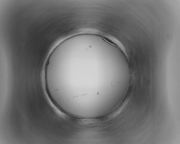 X0000111891391200908061325