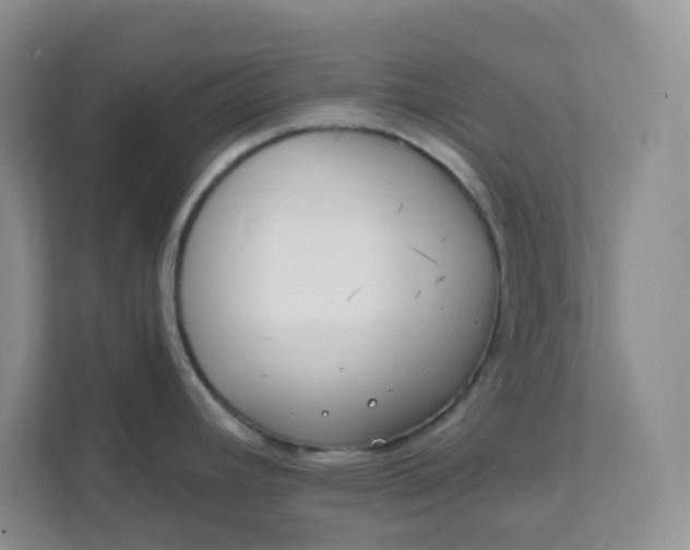 X0000111891392200908061325