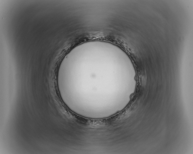 X0000111891393200908061324