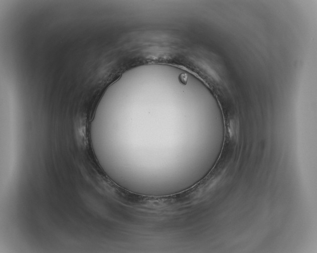 X0000111891396200908061324