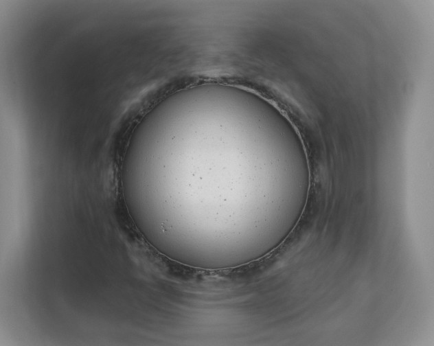 X0000111891398200908061324