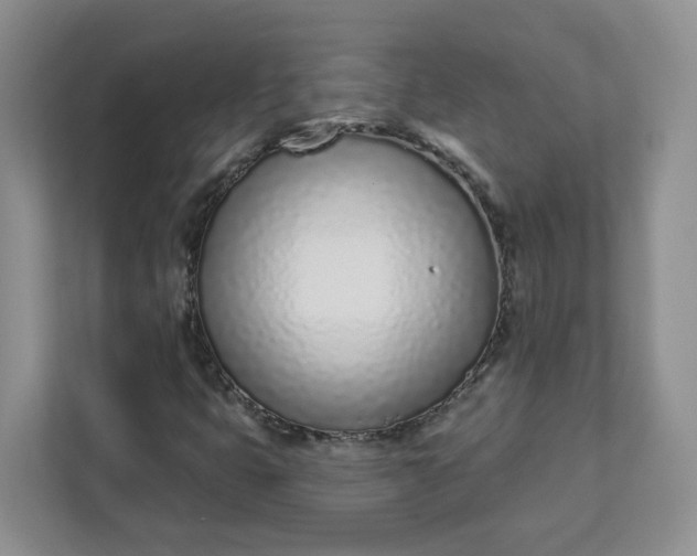 X0000111891399200908061324