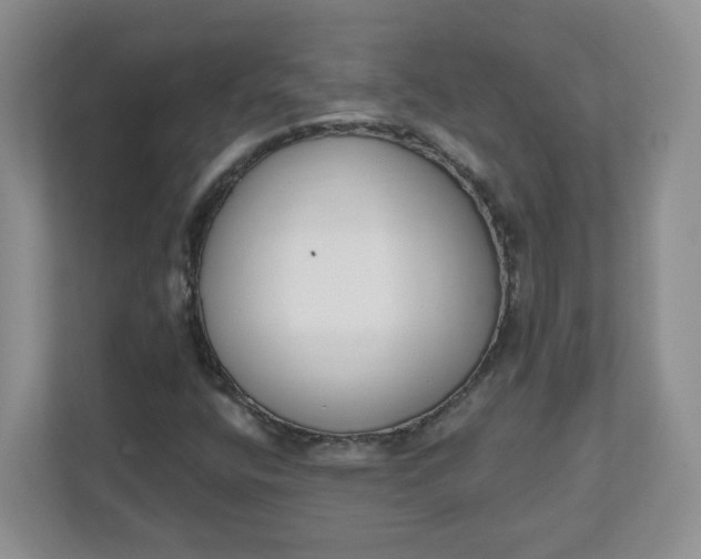 X0000111891400200908061324