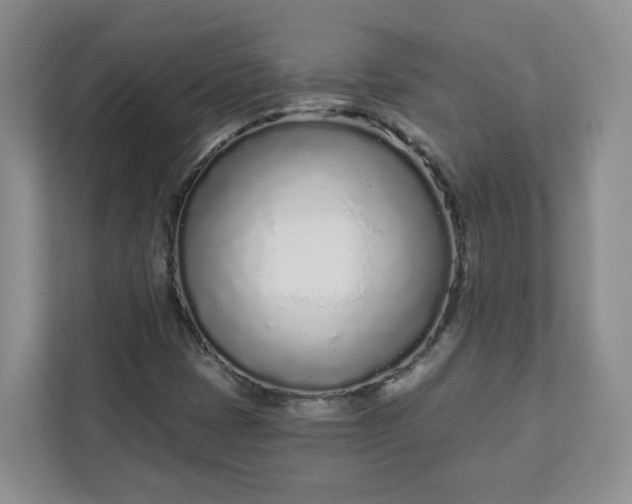 X0000111891401200908061324