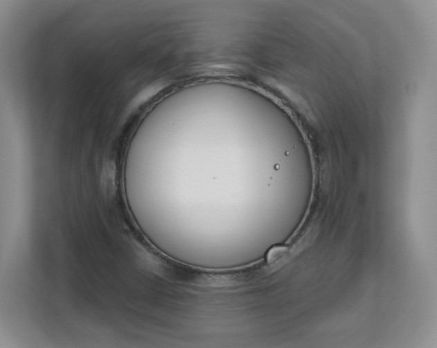 X0000111891402200908061324