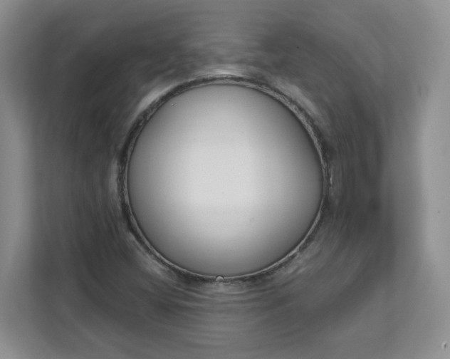 X0000111891404200908061325