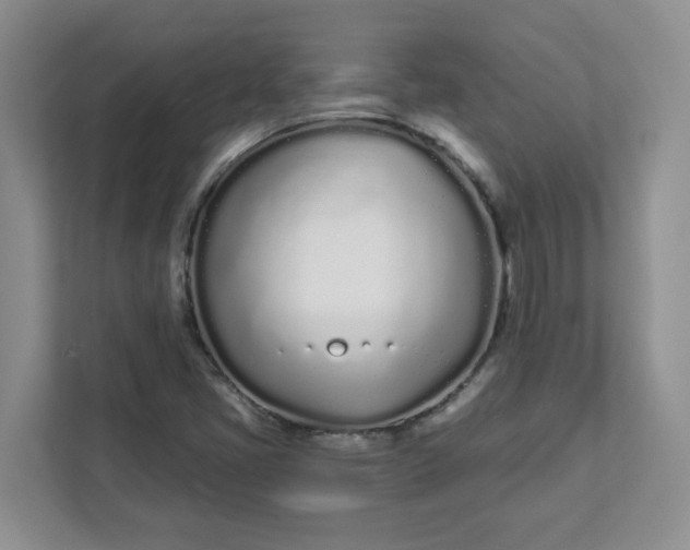 X0000111891405200908061325