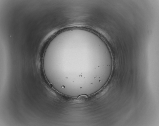 X0000111891406200908061325