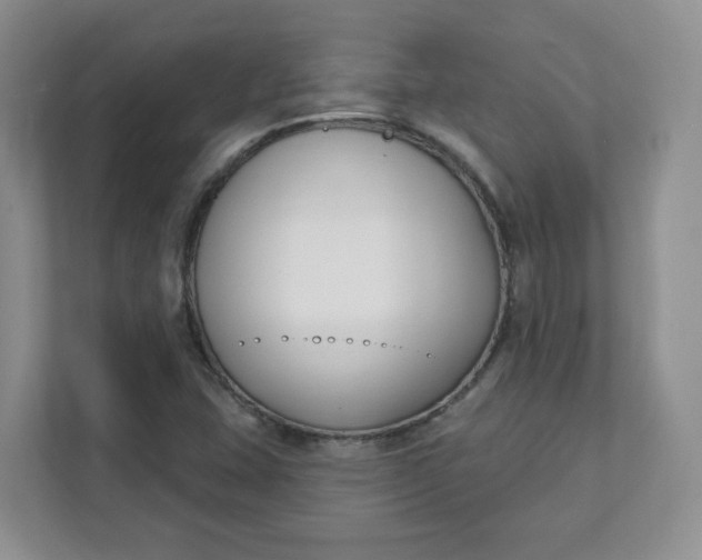 X0000111891407200908061325