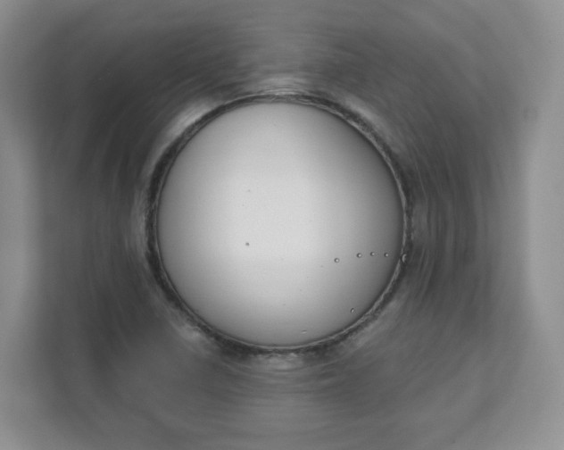 X0000111891410200908061325