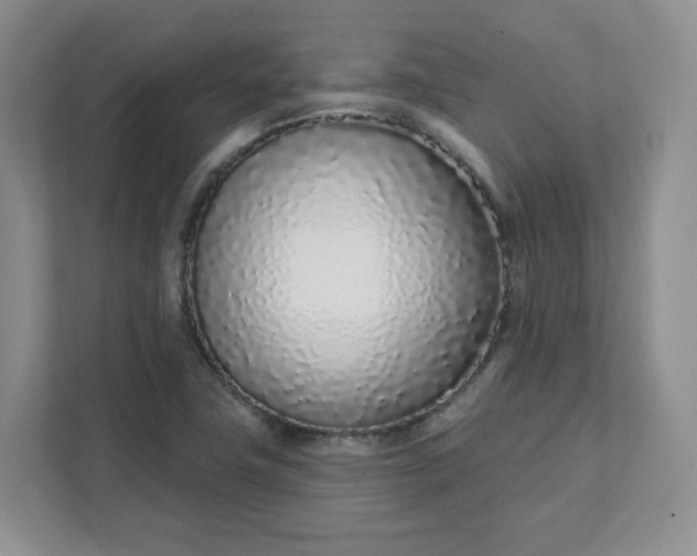 X0000111891411200908061325