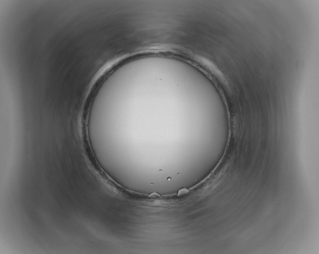 X0000111891412200908061325