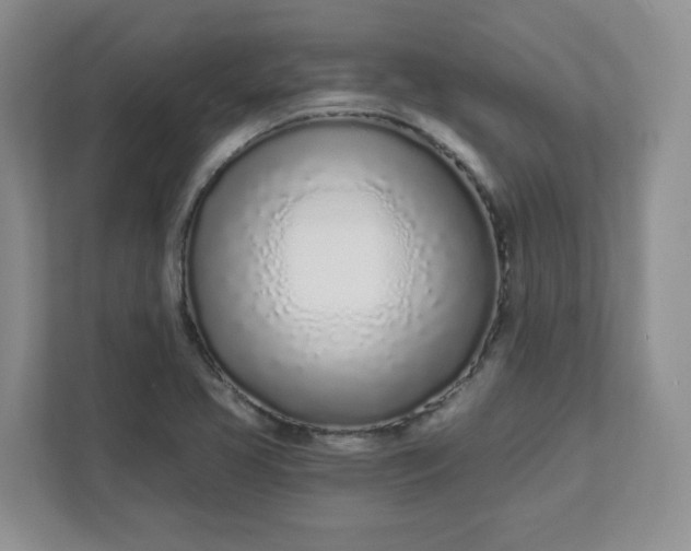 X0000111891413200908061325