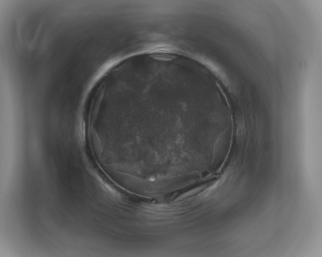 X0000111891414200908061325