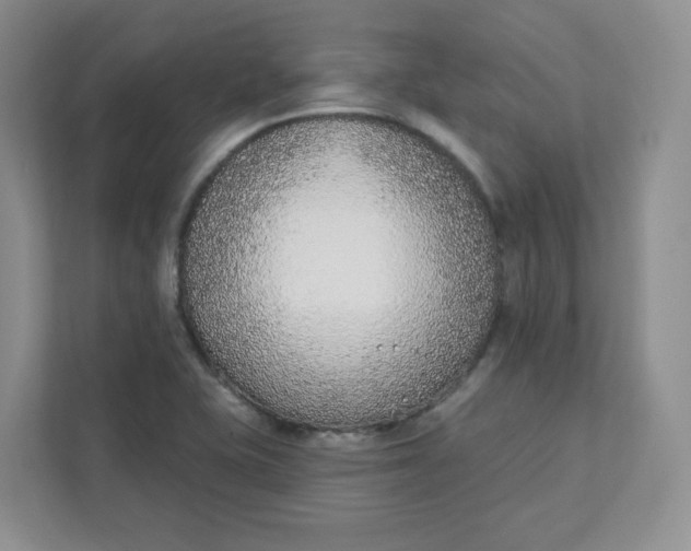 X0000111891415200908061325