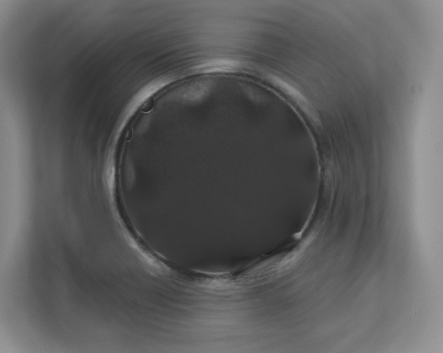 X0000111891418200908061325