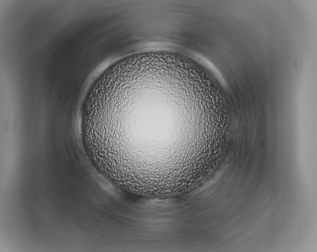 X0000111891419200908061325