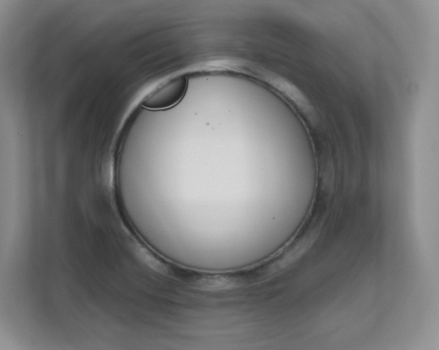 X0000111891420200908061325