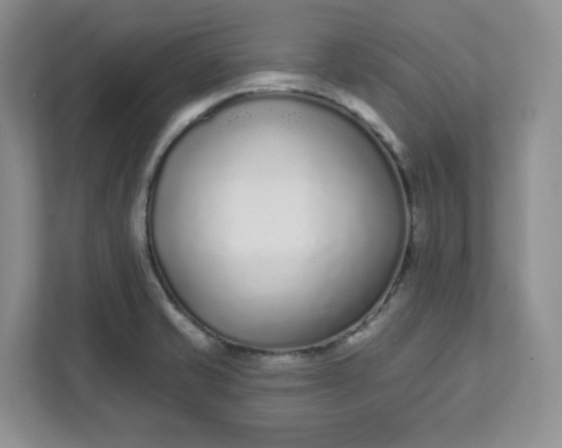 X0000111891421200908061325