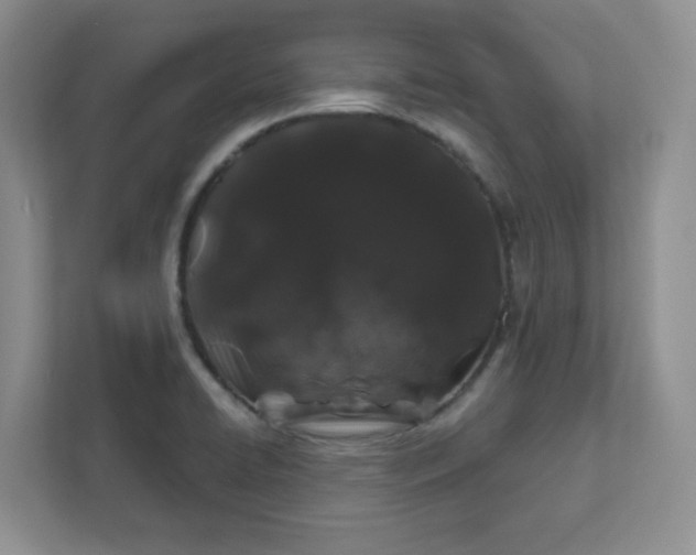 X0000111891422200908061325