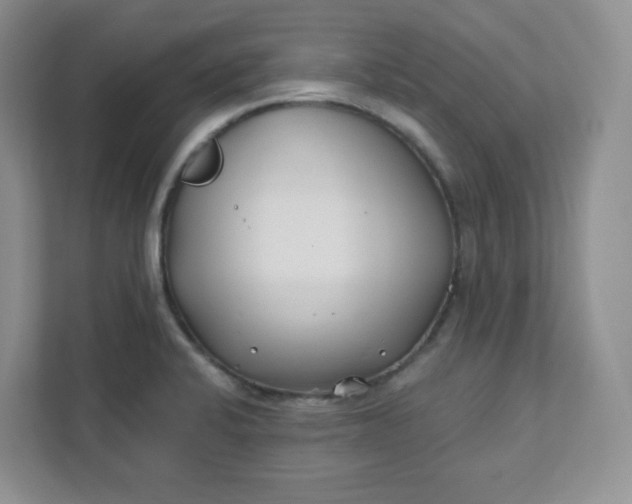 X0000111891424200908061325