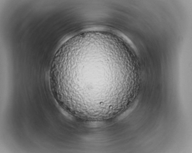 X0000111891425200908061325