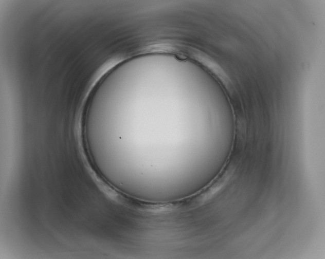 X0000111891426200908061325