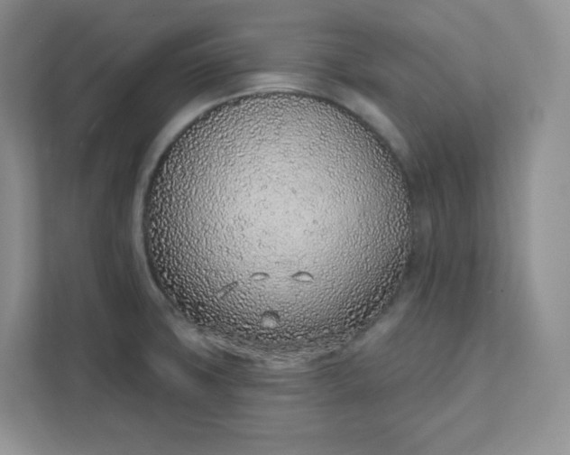 X0000111891427200908061325