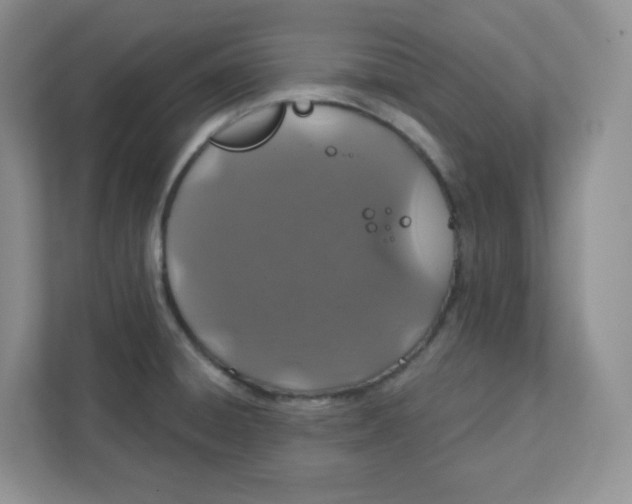 X0000111891428200908061325