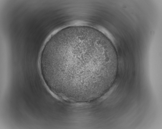 X0000111891429200908061325