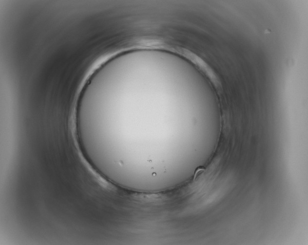 X0000111891432200908061325