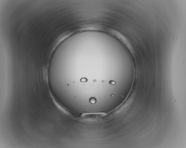 X0000111891433200908061325