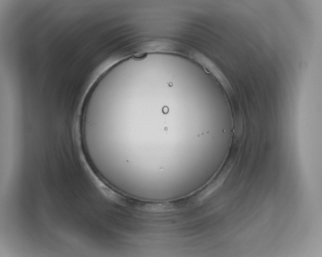 X0000111891434200908061325