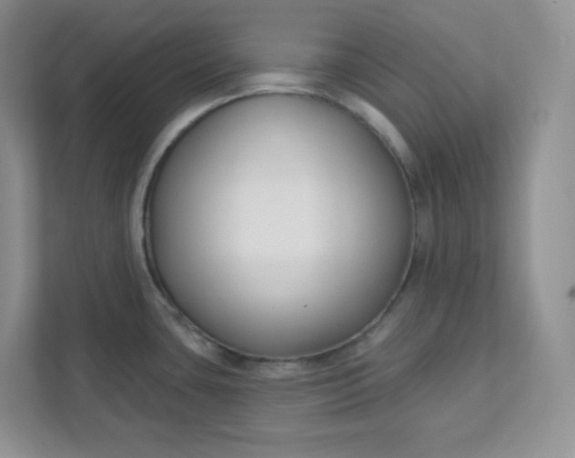 X0000111891435200908061325