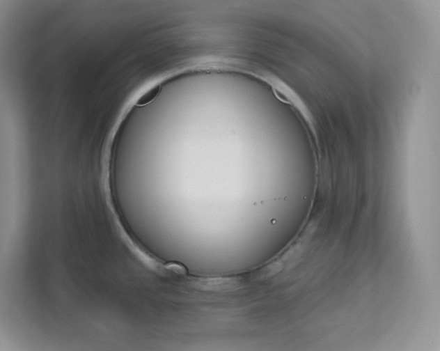 X0000111891437200908061325