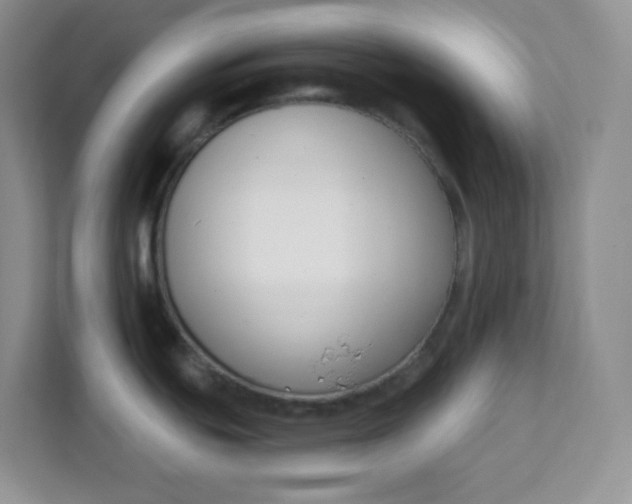 X0000111891439200908061325