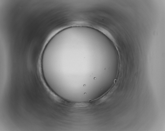 X0000111891440200908061325