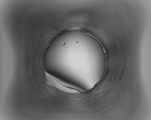 X0000111891441200908061324