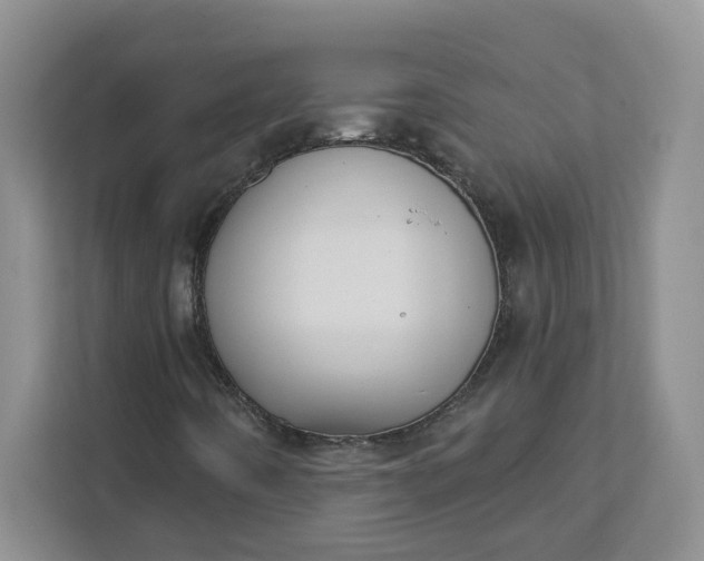 X0000111891442200908061324