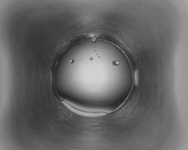 X0000111891443200908061324