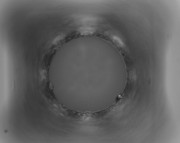 X0000111891445200908061324